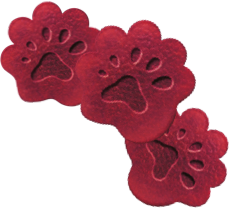 BEAR - Fruit Roll