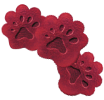 BEAR - product